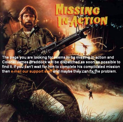 Missing in Action 404